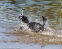 20190921-awd-0687