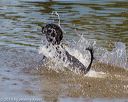20190921-awd-0688