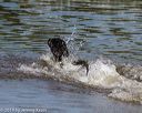 20190921-awd-0696