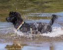 20190921-awd-0753