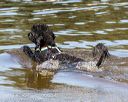 20190921-awd-0756