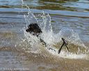 20190921-awd-0795