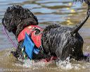 20190921-cwd-0011