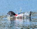 20190921-cwd-0019