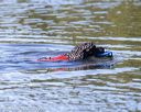 20190921-cwd-0023