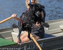 20190921-cwd-0028
