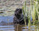 20190921-cwd-0037
