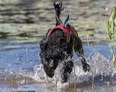 20190921-cwd-0039