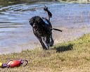 20190921-cwd-0055
