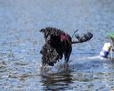 20190921-cwd-0104