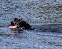 20190921-cwd-0152