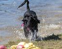 20190921-cwd-0165