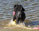 20190921-cwd-0180