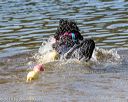 20190921-cwd-0194