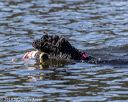 20190921-cwd-0203