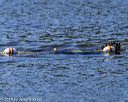 20190921-cwd-0218