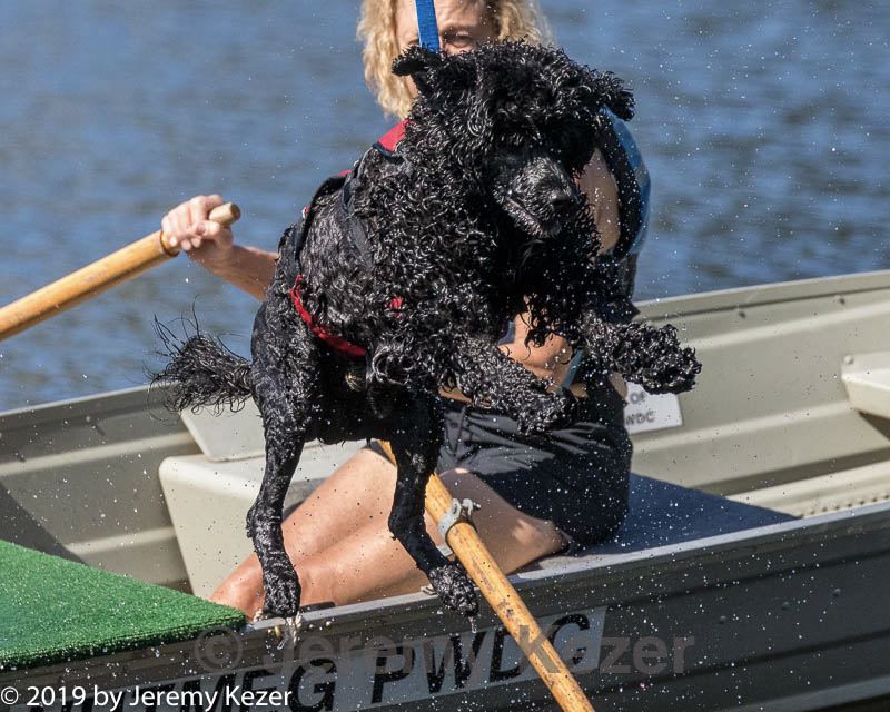 20190921-cwd-0028.jpg