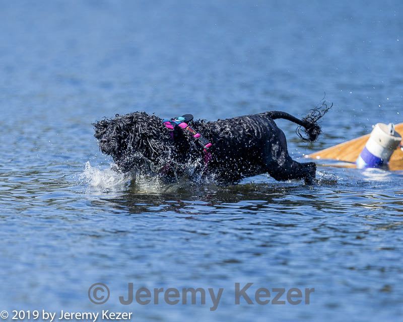 20190921-cwd-0210.jpg
