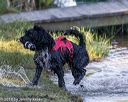 20190921-jwd-0036