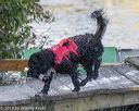 20190921-jwd-0046