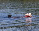 20190921-jwd-0285