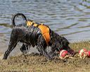 20190921-senior-0059