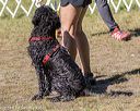 20190921-senior-0086