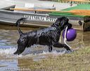 20190921-wwd-0003