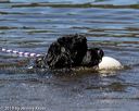 20190921-wwd-0012