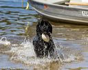 20190921-wwd-0020