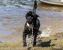 20190921-wwd-0032