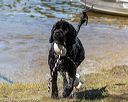 20190921-wwd-0034