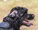 20190921-wwd-0044