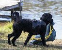 20190921-wwd-0049