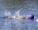 20190921-wwd-0084