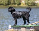 20190921-wwd-0104