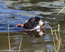20190922-awd-0030