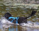 20190922-awd-0237