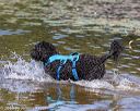 20190922-awd-0238