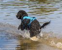20190922-awd-0293