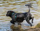 20190922-awd-0403
