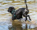 20190922-awd-0405