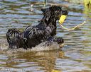 20190922-awd-0428