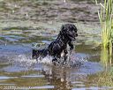 20190922-awd-0478