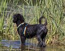 20190922-awd-0592