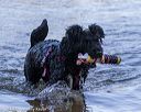20190922-cwd-0005