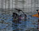 20190922-cwd-0010