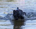 20190922-cwd-0028