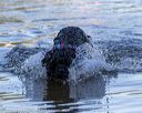 20190922-cwd-0029