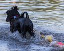 20190922-cwd-0051